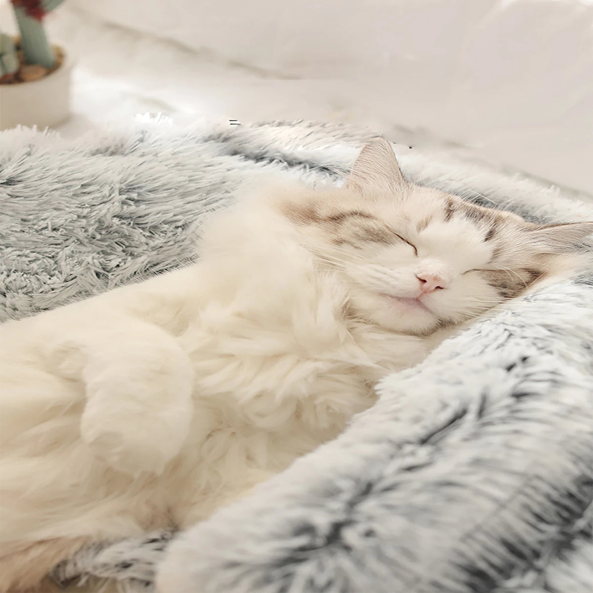 ✨ Cueva de Sueños para Mascotas – Cama Redonda, Esponjosa y Abrazable